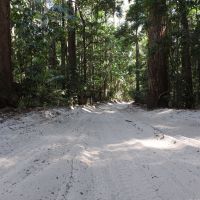 fraser-island.jpg