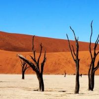 deadvlei-(wundn)