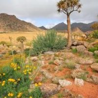 namaqualand-(wundn)