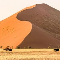 sossusvlei-(wundn)