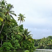 kumarakom