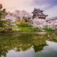 nara.-japan