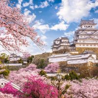 Himeji himeji