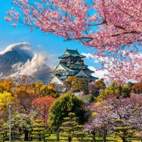 burg-osaka-und-kirschblüte-mit-fuji-hintergrund,