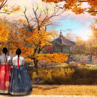 herbst-in-korea