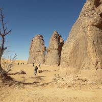 2-la-vache-qui-pleure