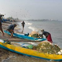 traditional-fishing-in-negombo