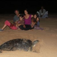 night-turtle-watching-family