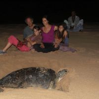 Night Turtle Watching Family night-turtle-watching-family