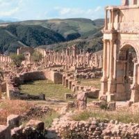 d4---algeria-dmc-djemila