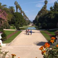 d12-garden---algiers