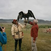 adler