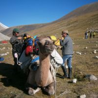 kamel-altai-achaa