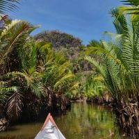 indonesien-sulawesi-ramang-fluss-4-sm-800x600
