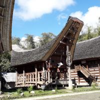 Ketekesu ketekesu
