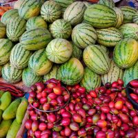 sulawesi-basar-sm-(1)