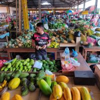 sulawesi-basar-sm-(5)