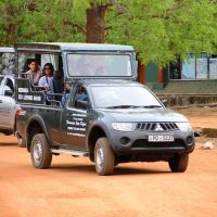 yala-safari yala-safari