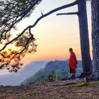 monk-7343195_1920 monk-7343195-1920