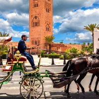 carriage-marrakech-1