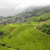 Longsheng longsheng