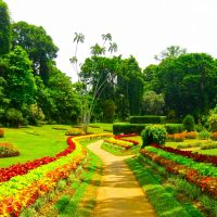 Botanischer Garten Kandy botanischer-garten-kandy