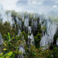 gunung-mulu-nationalpark