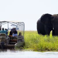 botswana---chobe-river-cruise-02.jpg