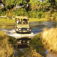 botswana--game-drive-01