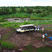 zimbabwe---hwange---game-drive-01