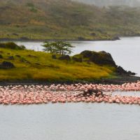 tanzania---arusha-national-park-01