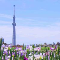 japan-tokyo-skytree-von-edogawa-aus-gesehen