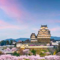 himeji,-japan,-burg-himeji-zur-zeit-der-kirschblüte-im-frühling.