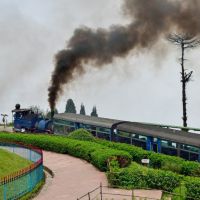 132---toy-train-800x515