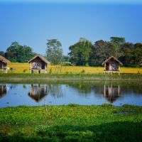 142 - Majuli_800x534 142---majuli-800x534