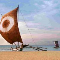 Fishing boat on the sea coast, Sri Lanka fishing-boat-on-the-sea-coast,-sri-lanka