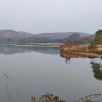 aab-03-ranthambore-02