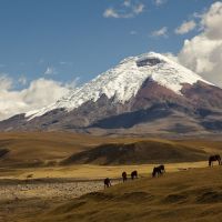 tag16ecuador