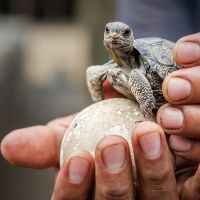 tag22ecuador