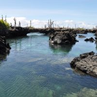 galapagos-los-tuneles-2.jpg