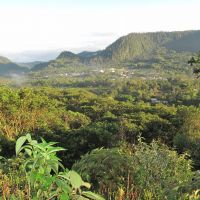 mindo-landscape.jpg