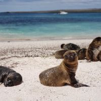 Galapagos_San Cristobal_Espaniola_4 galapagos-san-cristobal-espaniola-4
