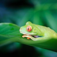shutterstock_1023114073 shutterstock-1023114073
