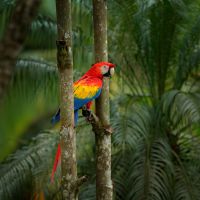 shutterstock_1116035084 shutterstock-1116035084