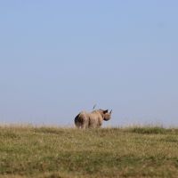 wildlife-img-0053.jpg