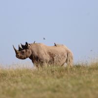 wildlife-img-0084.jpg