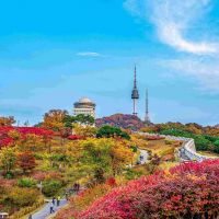 seoul,-south-korea