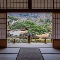 japan-kyoto-193