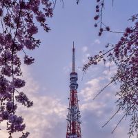 japan-tokyo-18