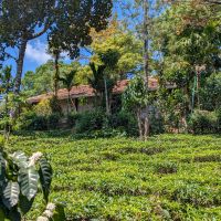 427-plenti-gudalur